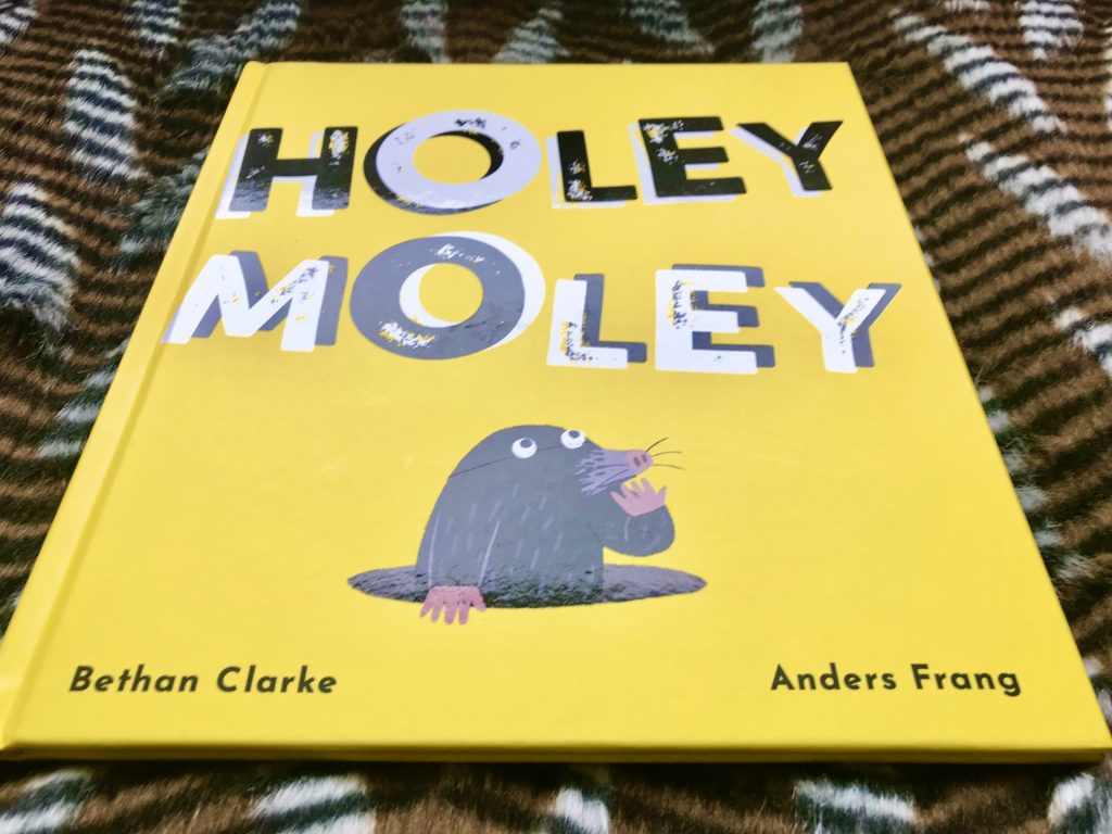 HOLEY MOLEY! It’s a brilliant new picture book illustrated by ANDERS