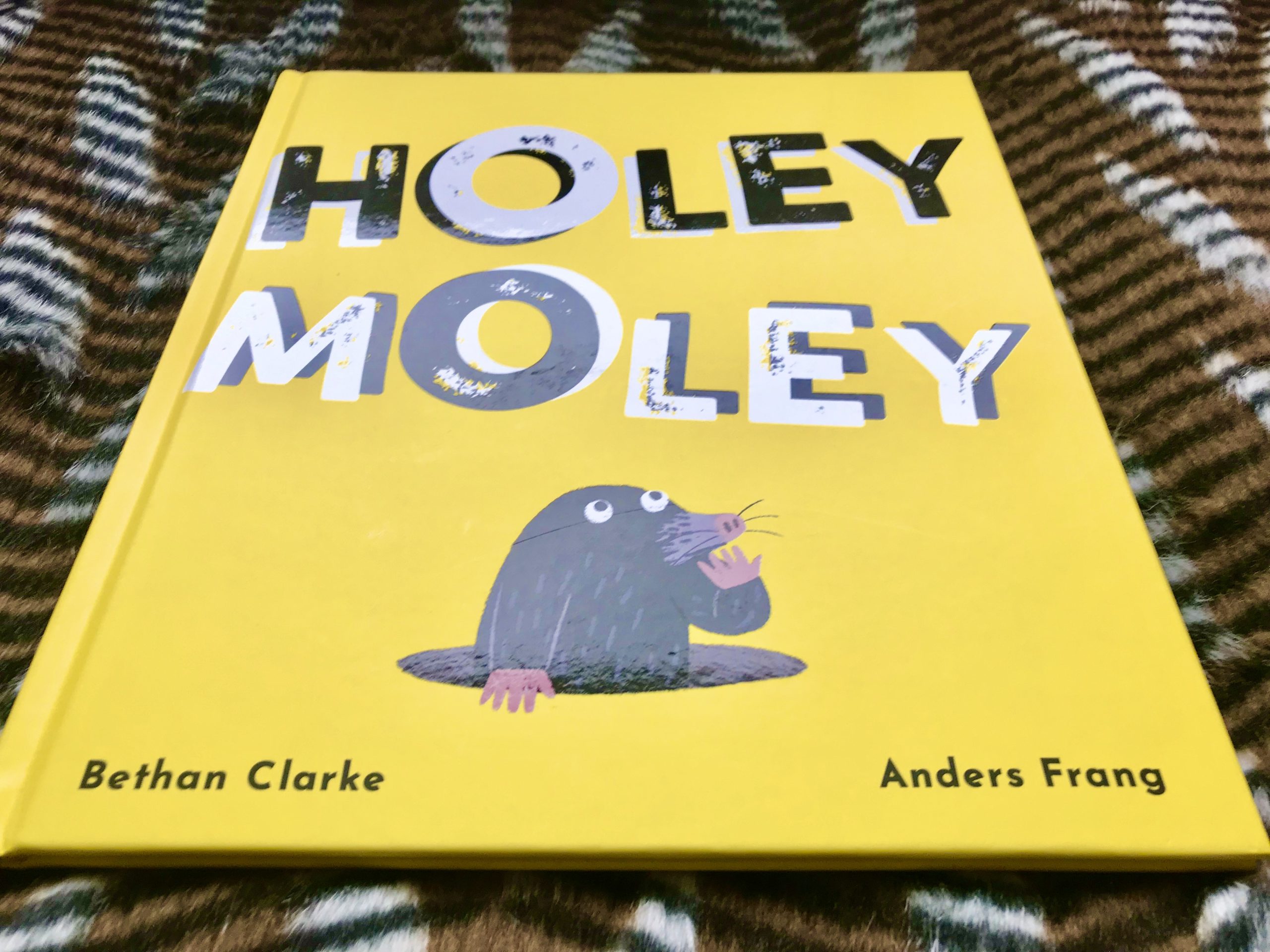 holey_moley-cover
